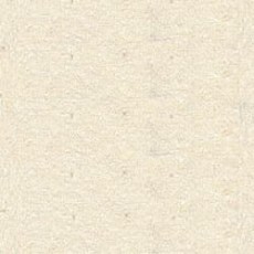 Цвет Шампань